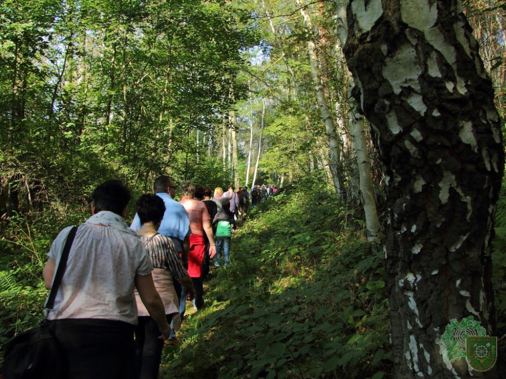 Schlüsselwörter: Wandertag 2014