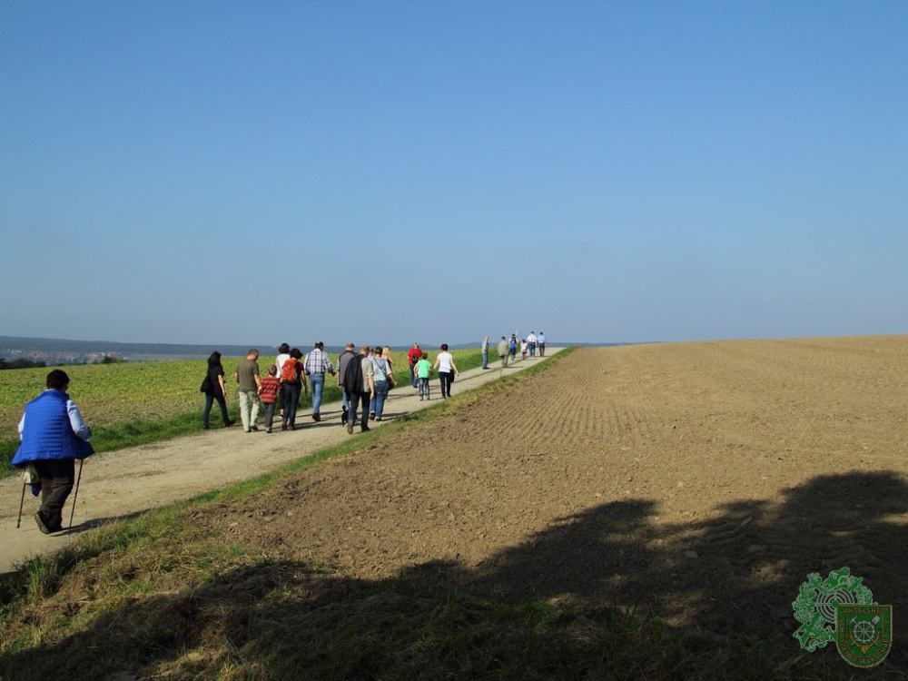 Schlüsselwörter: Wandertag 2014