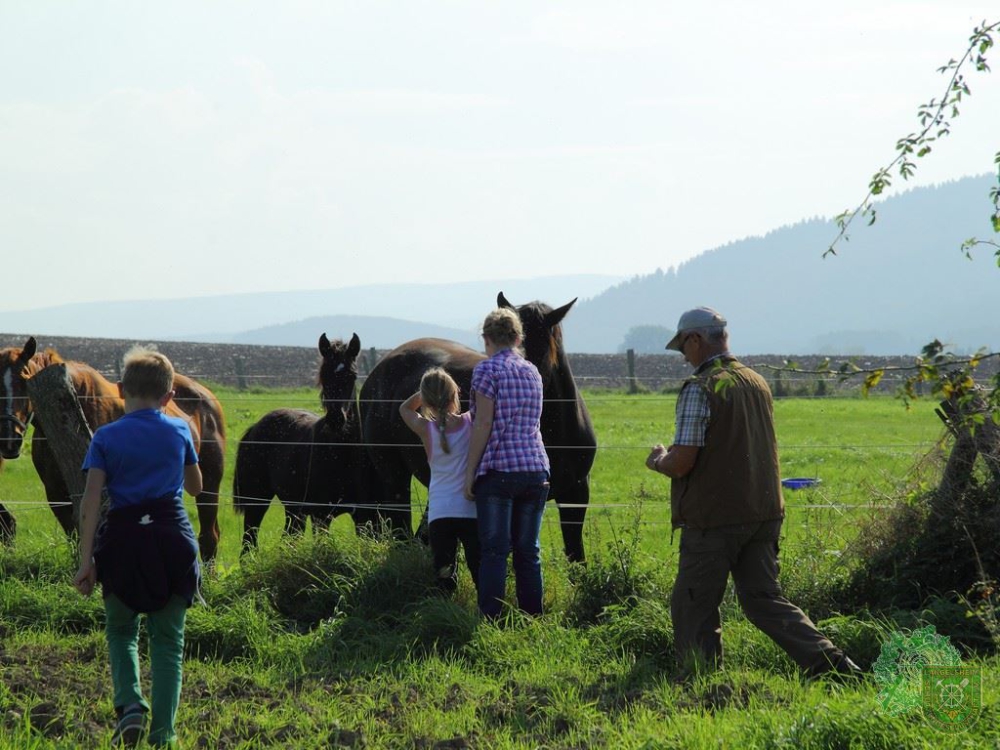 Schlüsselwörter: Wandertag 2014