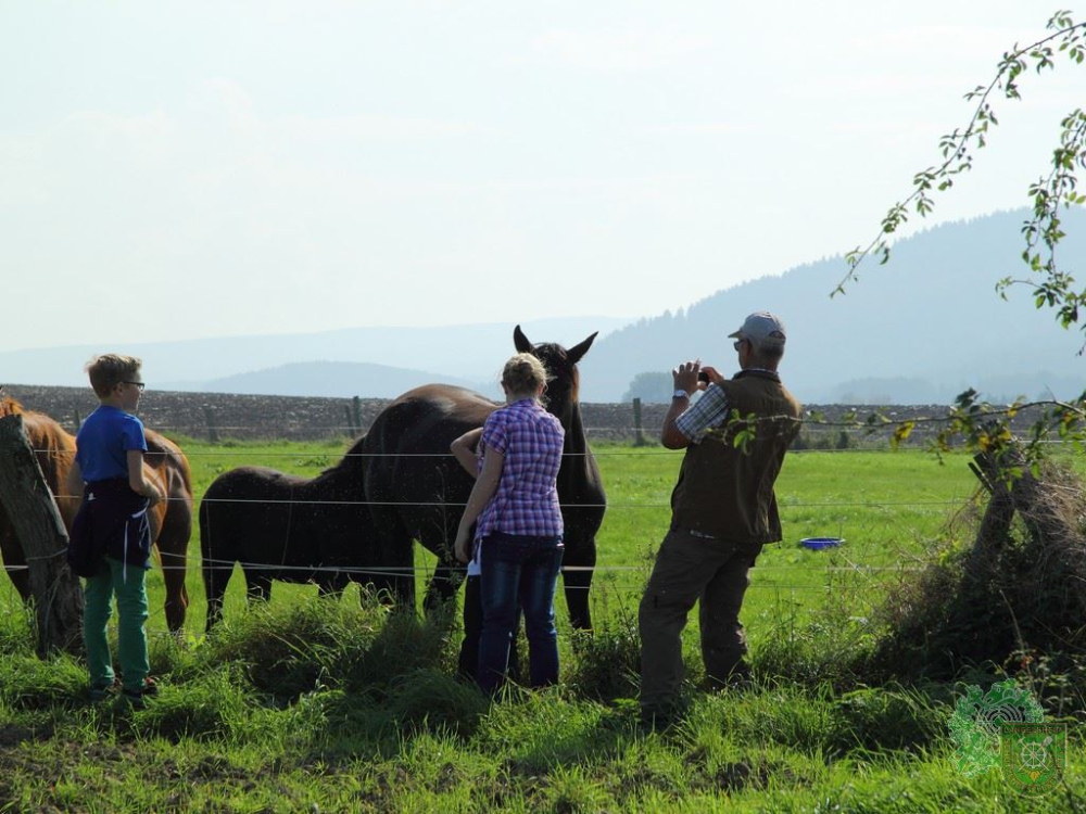 Schlüsselwörter: Wandertag 2014