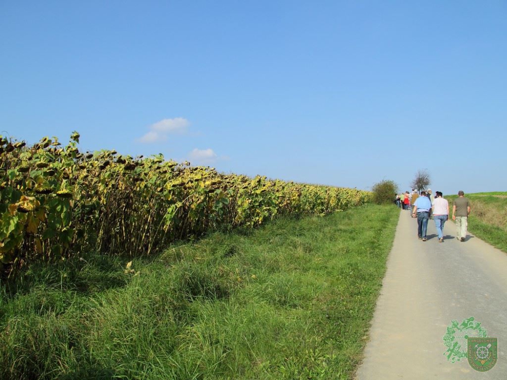 Schlüsselwörter: Wandertag 2014