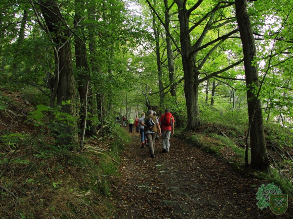 Schlüsselwörter: Wandertag 2014