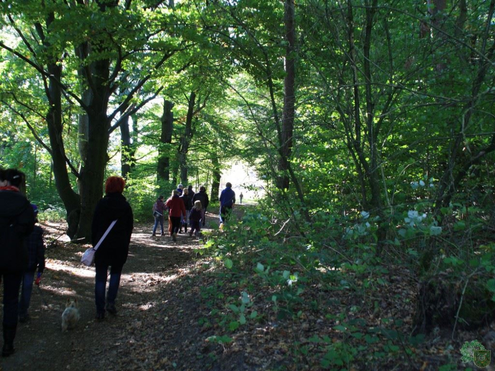 Schlüsselwörter: Wandertag 2013