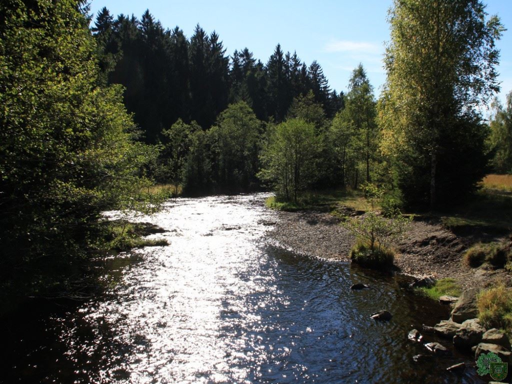 Schlüsselwörter: Wandertag 2013